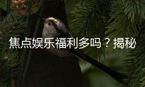 焦点娱乐福利多吗？揭秘其丰富优惠与独家特权