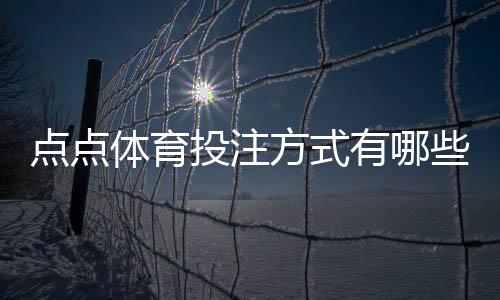 点点体育投注方式有哪些?新手入门、投注玩法与渠道全面解析