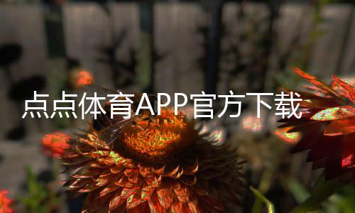 点点体育APP官方下载通道：官方直达下载、最新版安装步骤与常见问题解答