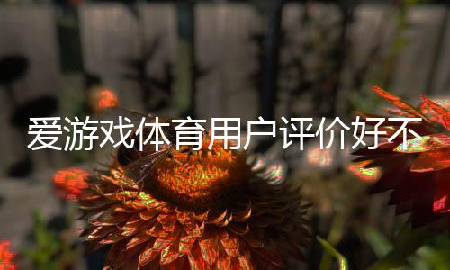 爱游戏体育用户评价好不好?真实口碑与使用体验全面解析