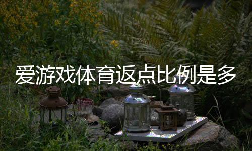 爱游戏体育返点比例是多少？最新返点规则与计算方法详解