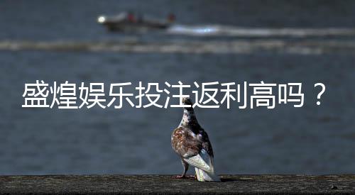 盛煌娱乐投注返利高吗？揭秘高返利活动真实参与攻略