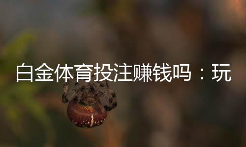 白金体育投注赚钱吗：玩家心得分享