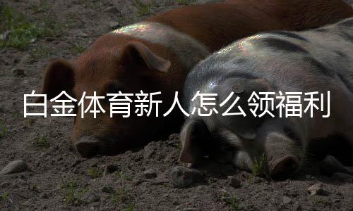 白金体育新人怎么领福利：完善指南