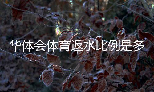 华体会体育返水比例是多少?最新返水比例、计算公式与领取注意事项全面解析