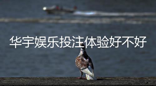华宇娱乐投注体验好不好?资深玩家亲测真实感受分享