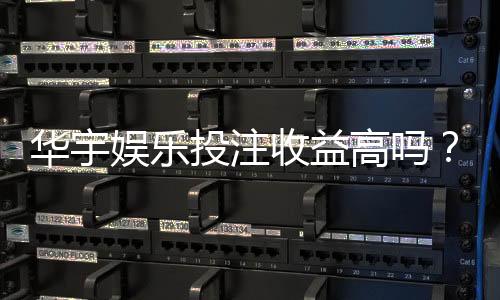 华宇娱乐投注收益高吗?深度解析高回报背后的真相与技巧