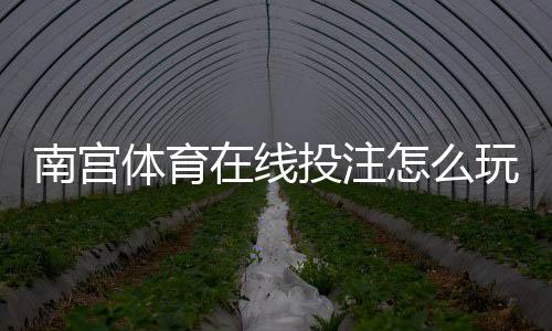 南宫体育在线投注怎么玩？新手必看玩法规则与安全上手指南