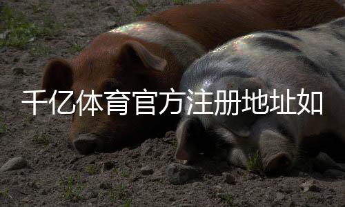 千亿体育官方注册地址如何选择最优平台？