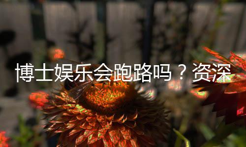 博士娱乐会跑路吗?资深玩家深度解析平台安全性