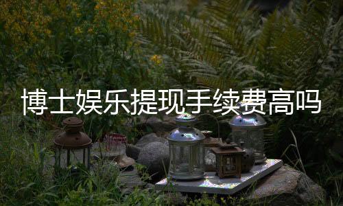 博士娱乐提现手续费高吗?资深玩家解析费用详情与优化策略