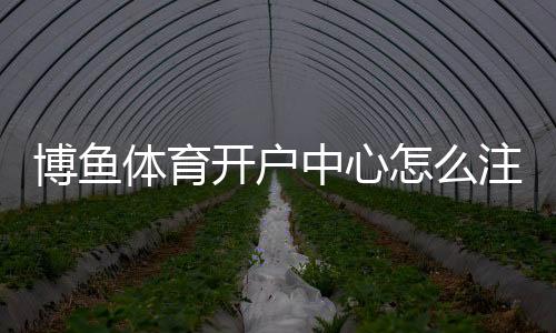 博鱼体育开户中心怎么注册？新手开户流程、优惠与安全注意事项详解