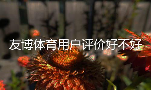 友博体育用户评价好不好？真实口碑、优缺点与使用体验全面解析