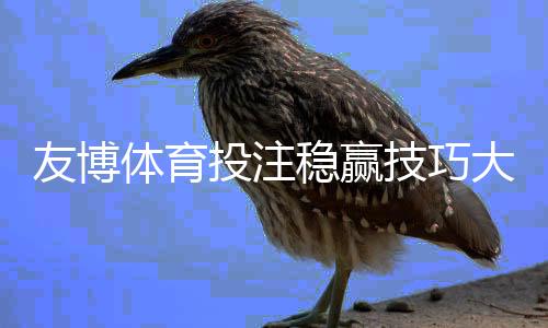 友博体育投注稳赢技巧大全:新手实战策略、盘口分析与避坑指南