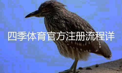 四季体育官方注册流程详解：新手快速完成注册的步骤与注意事项