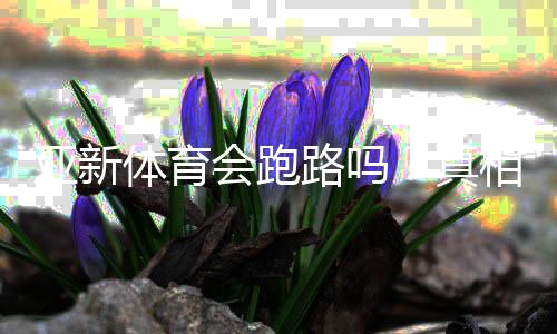 亚新体育会跑路吗?真相调查、风险提示与用户维权全攻略