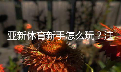 亚新体育新手怎么玩？注册、充值、投注全流程与实用入门攻略