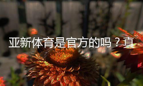亚新体育是官方的吗？真伪鉴别与平台安全性全面解析