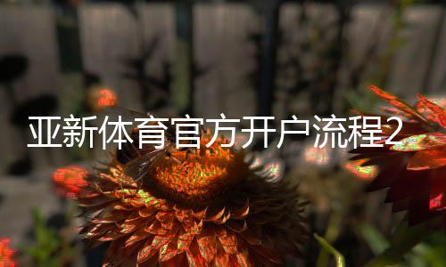 亚新体育官方开户流程2026最新版：新手注册步骤、实名认证与常见问题详解