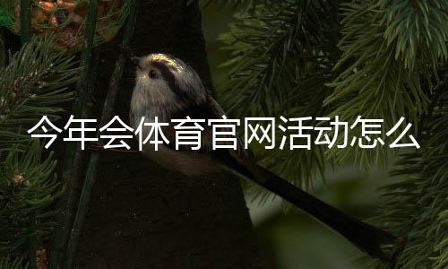今年会体育官网活动怎么玩？最新优惠、参与流程与注意事项全面解析