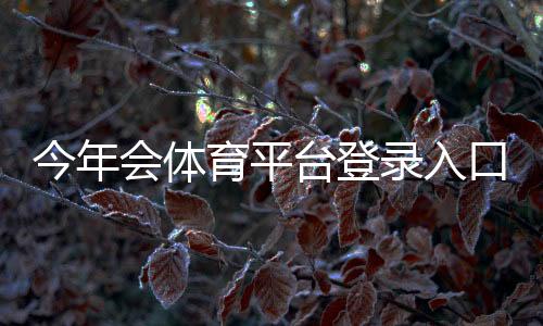 今年会体育平台登录入口最新指南：注册、忘记密码与安全设置一步到位