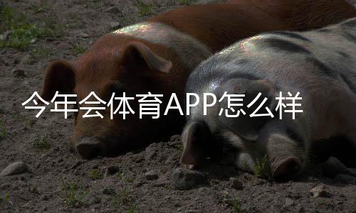 今年会体育APP怎么样?2026最新版深度评测:功能、直播与使用体验