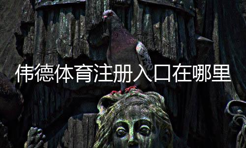 伟德体育注册入口在哪里？官方注册通道、新手快速开户流程与安全注意事项