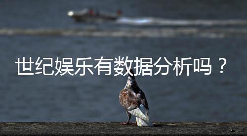 世纪娱乐有数据分析吗？深度解析其数据服务与玩家体验