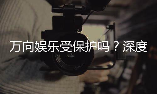 万向娱乐受保护吗?深度解析其安全性与玩家保障措施