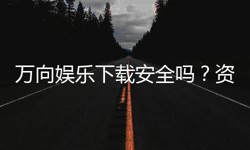 万向娱乐下载安全吗?资深玩家揭秘平台安全性与下载攻略