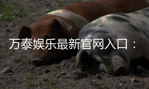 万泰娱乐最新官网入口:畅享顶级棋牌电游的尊贵体验