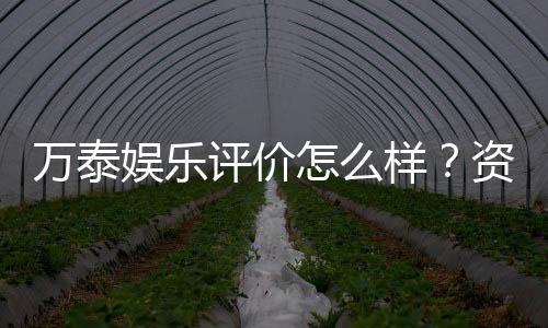 万泰娱乐评价怎么样?资深玩家真实体验分享