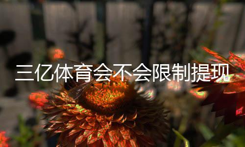 三亿体育会不会限制提现?提现规则、到账时效与风险防范全解析