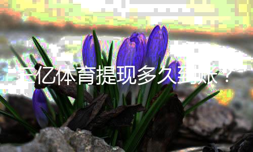 三亿体育提现多久到账？到账时间、延迟原因与加速技巧全解析