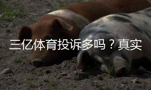 三亿体育投诉多吗？真实投诉案例、原因分析与维权攻略