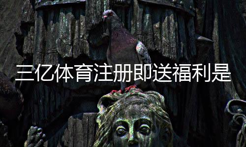 三亿体育注册即送福利是什么意思？新手快速领取攻略与注意事项