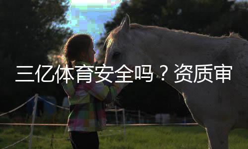 三亿体育安全吗?资质审核、资金安全与提现体验全方位评测