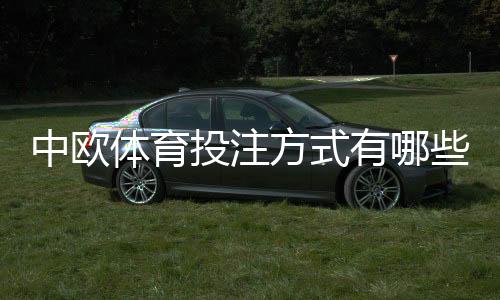 中欧体育投注方式有哪些？新手必看：胜平负、让球、大小球、滚球与串关全面解析