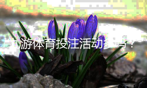 九游体育投注活动多吗？优惠类型、频率与参与攻略全面解析