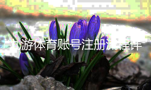 九游体育账号注册流程详解：手机电脑图文步骤、实名认证与常见问题