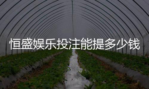 恒盛娱乐投注能提多少钱？揭秘提款额度与到账规则