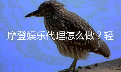 摩登娱乐代理怎么做?轻松入门指南与实战经验分享