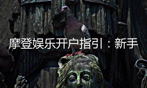摩登娱乐开户指引：新手必看的注册流程与优惠详解