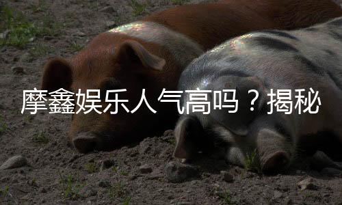 摩鑫娱乐人气高吗？揭秘其火爆原因与玩家真实评价