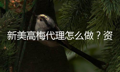 新美高梅代理怎么做?资深玩家揭秘申请流程与盈利技巧