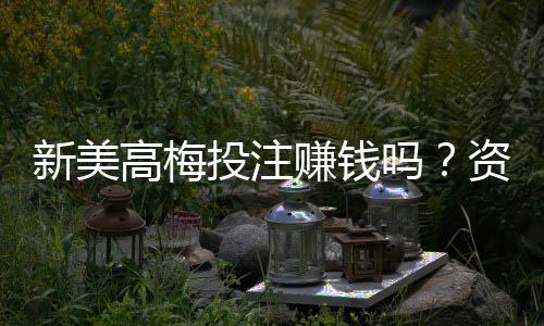 新美高梅投注赚钱吗？资深玩家揭秘盈利技巧与实战心得