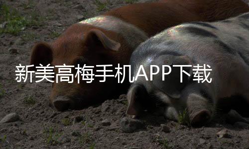 新美高梅手机APP下载:畅享豪华娱乐体验与惊喜优惠