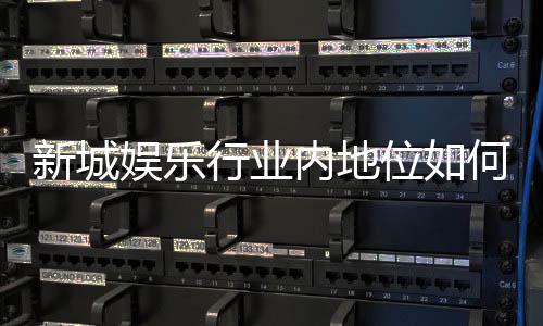 新城娱乐行业内地位如何？揭秘其市场竞争力与玩家口碑