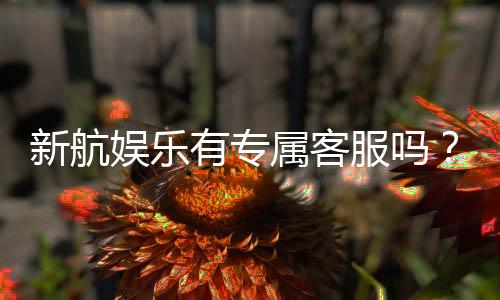 新航娱乐有专属客服吗？为您揭秘VIP一对一服务体验