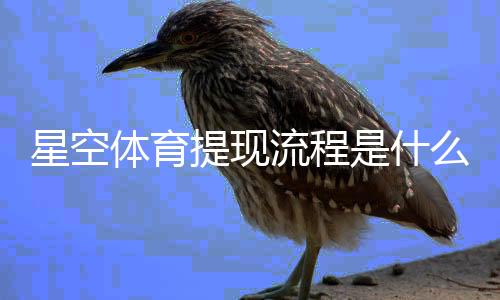 星空体育提现流程是什么?新手一步步操作教程、到账时间与手续费说明
